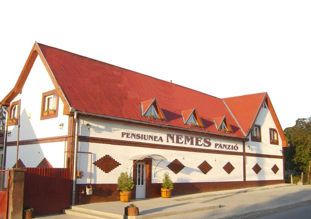 Pensiunea Nemes Panzio Acatari ภายนอก รูปภาพ